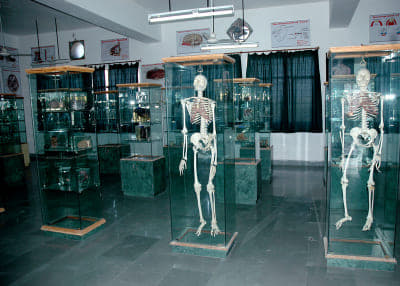 Surendera Group of Institutions - [SGI] Events photo 63